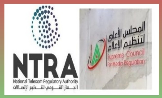الأعلى للإعلام والاتصالات: ضوابط جديدة لحماية الأطفال من مخاطر السوشيال ميديا