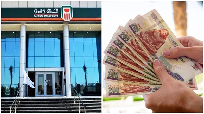 خدمة جديدة لحل مشكلة صرف المعاشات والمرتبات