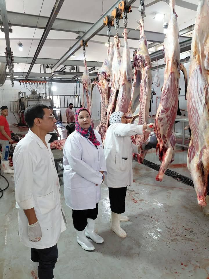 خلال يومين ..ذبح أكثر من 20 ألف أضحية بالمجازر الحكومية
