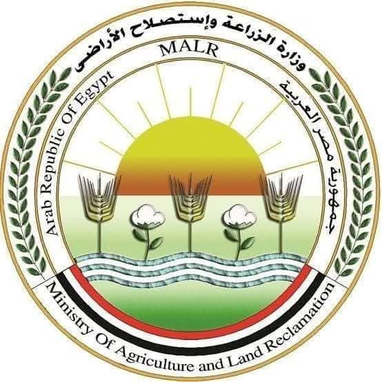 وزارة الزراعة : المجازر استقبلت أكثر من 28 ألف أضحية فى 3 أيام 