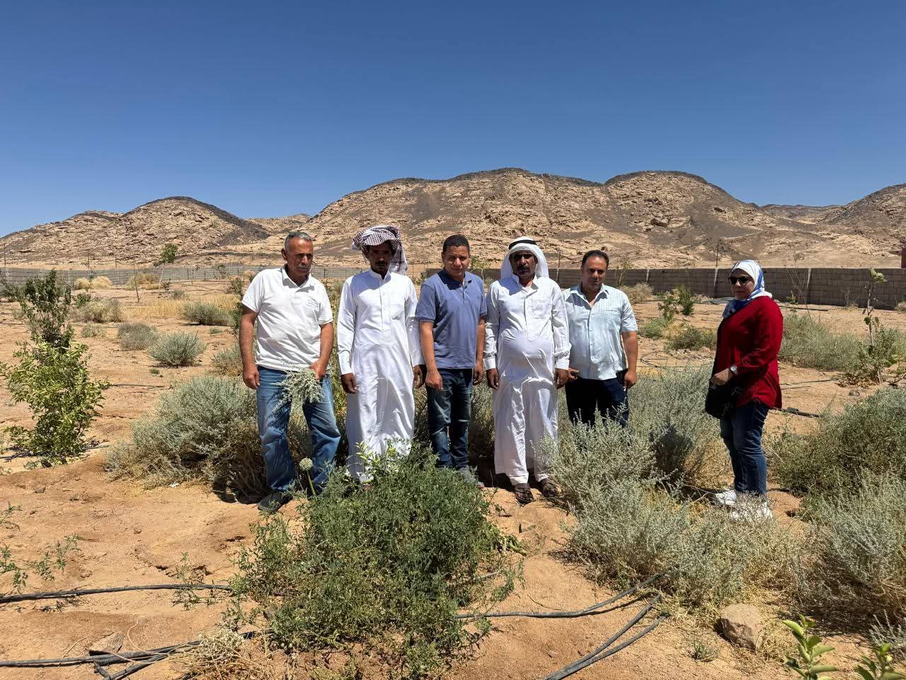 بحوث الصحراء يطلق المرحلة الثانية من مشروع التنمية بجنوب سيناء
