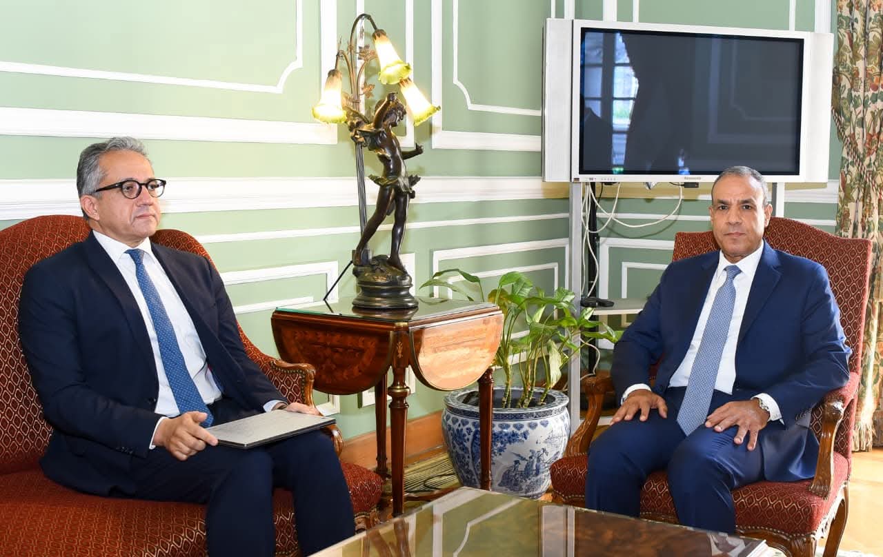 وزير الخارجية يعلن دعم مصر لترشح خالد العناني لليونسكو