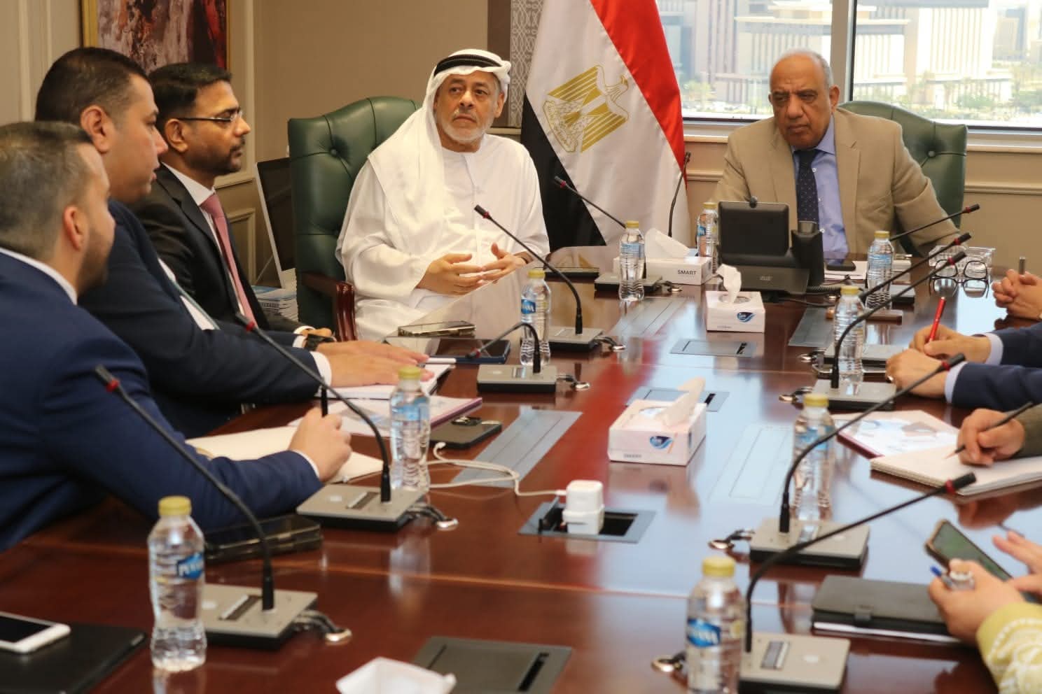 تعاون مصري–إماراتي في مشروعات الطاقة المتجددة وتخزين الكهرباء