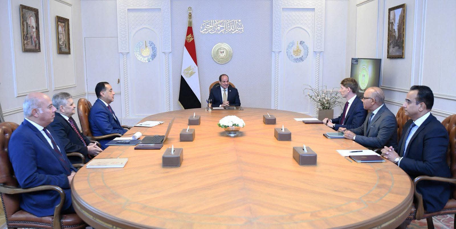 الرئيس السيسي يبحث مع رئيس ميرسك تعزيز التعاون البحري واللوجستي