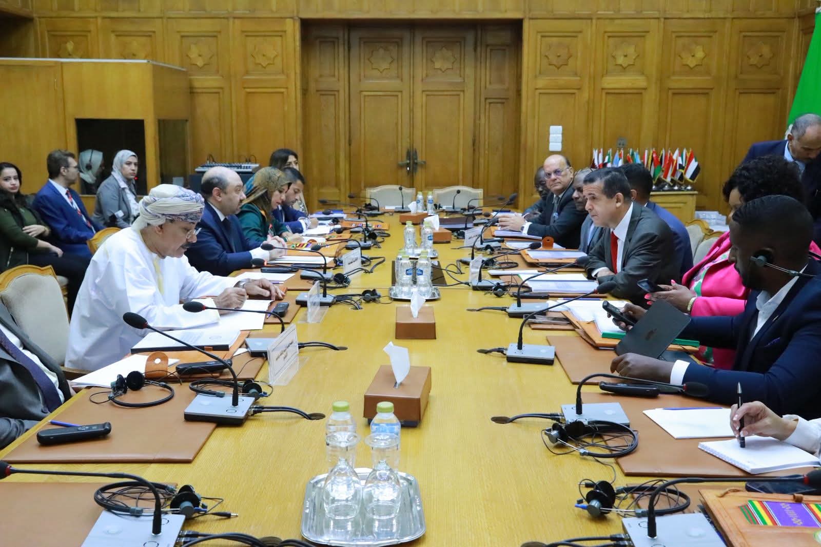 الجامعة العربية تستضيف الدورة التاسعة للمجلس التنفيذي الإفريقي