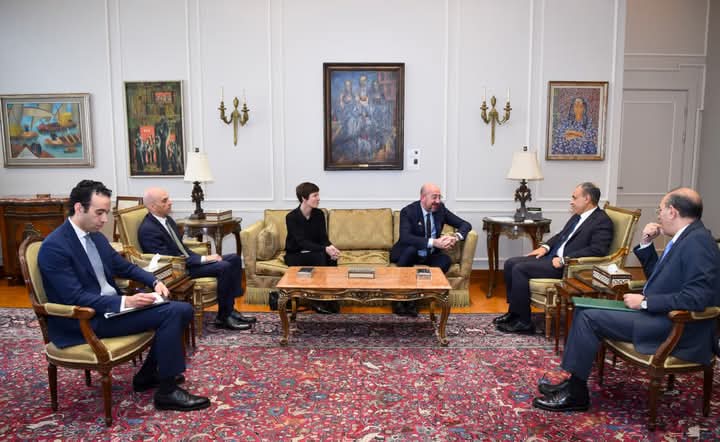 وزير الخارجية يبحث جهود السلام وتعزيز الشراكة المصرية-الأوروبية