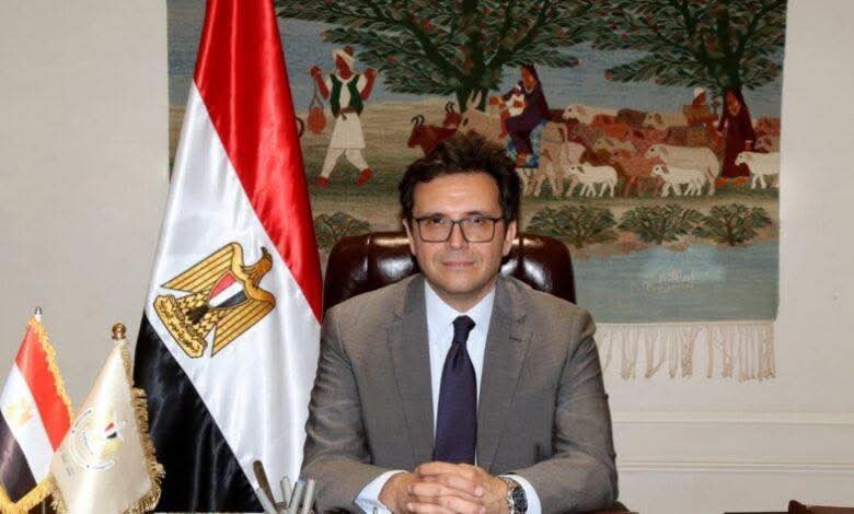 عودة المهرجان القومي للسينما المصرية بقوة في يوبيله الفضي