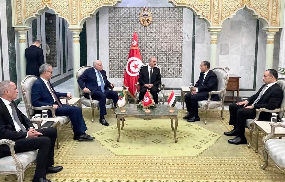 خارجية مصر وتونس والجزائر تؤكد دعم الحل الليبي الشامل