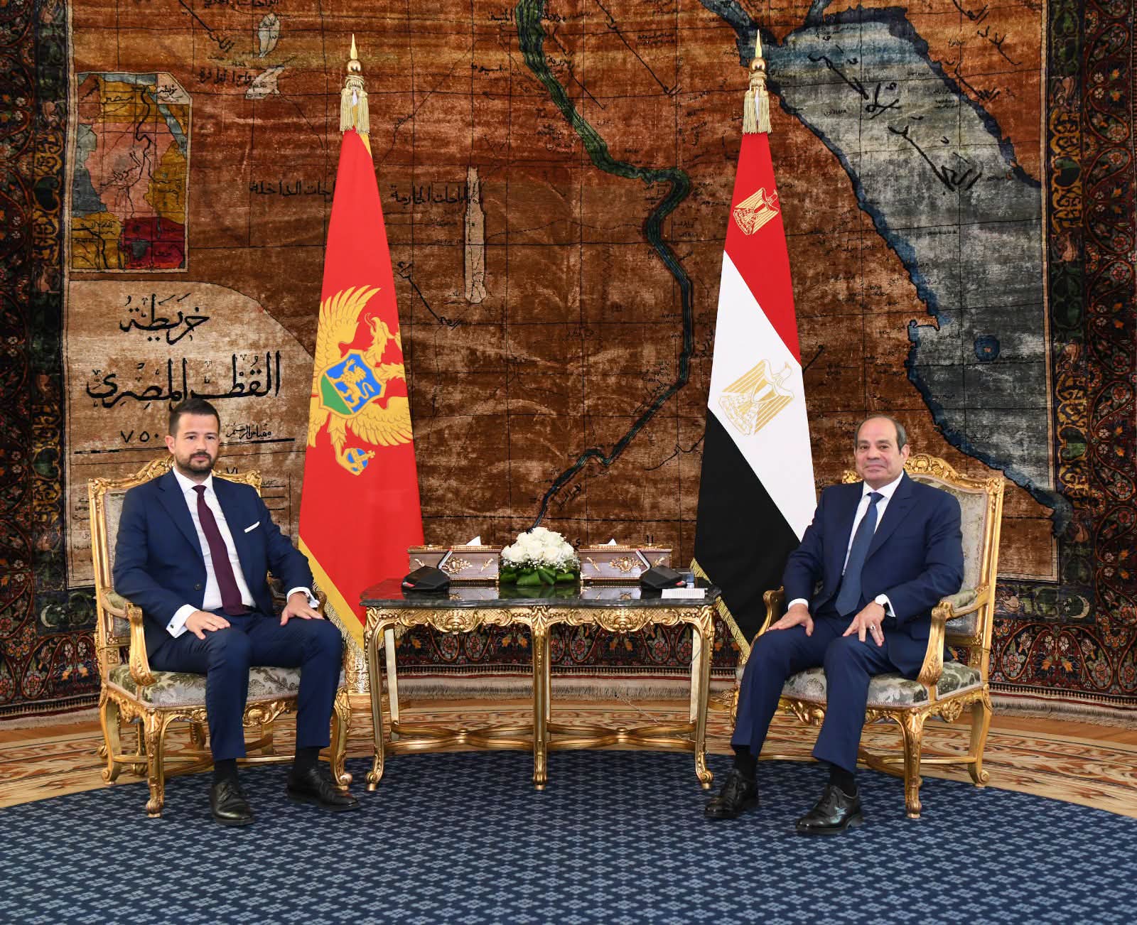 الرئيس السيسي يؤكد توسيع الشراكة الاقتصادية مع جمهورية الجبل الأسود