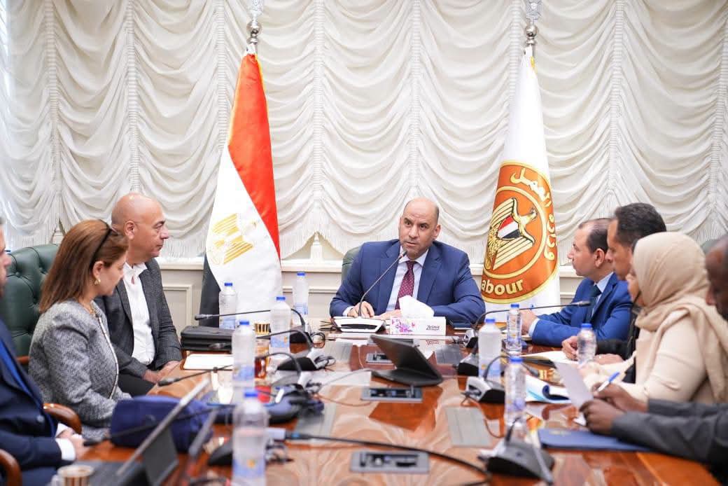 مصر تستعد لإطلاق منظومة رقمية موحدة لإصدار تصاريح العمل للأجانب