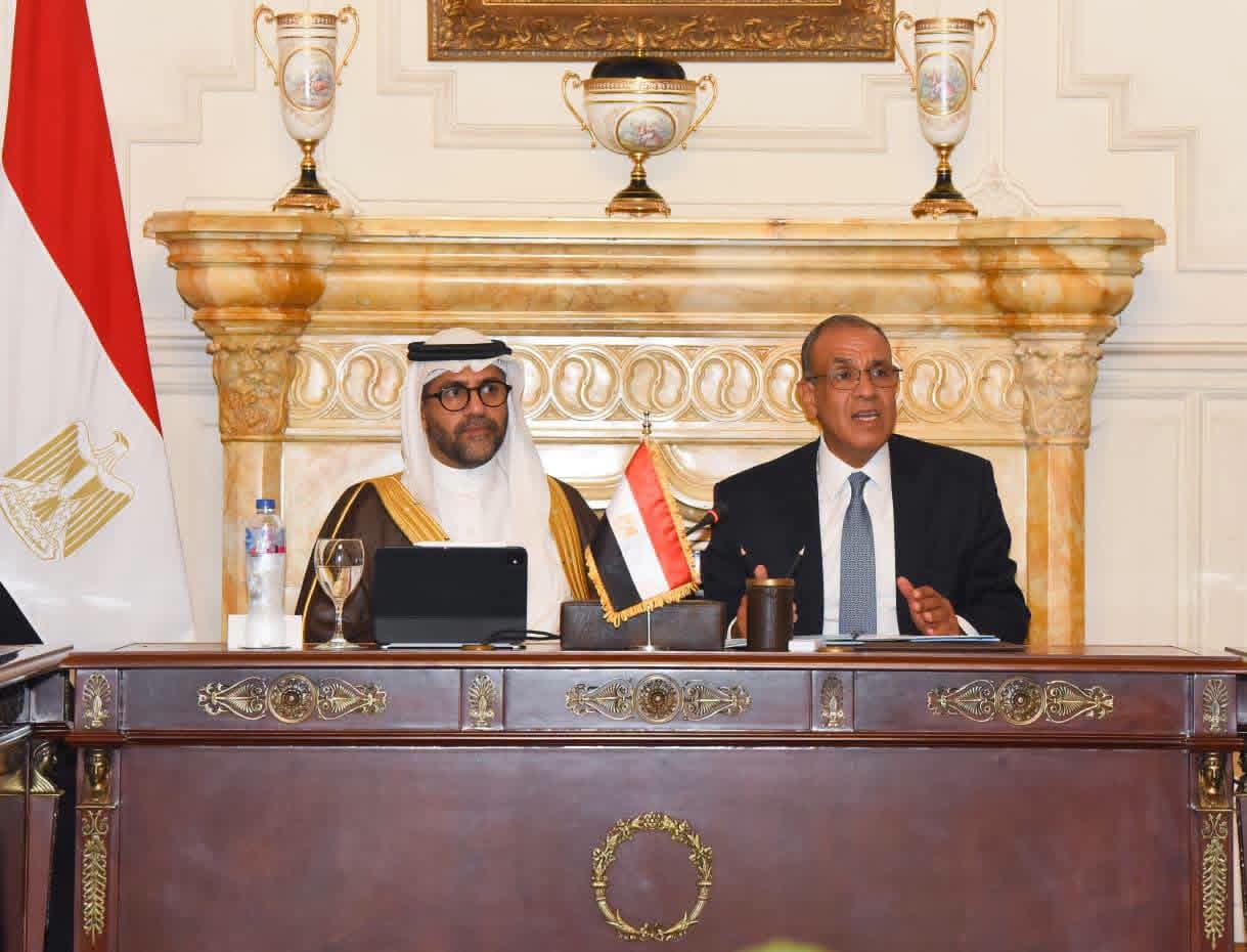 وزير الخارجية يبحث دعم توسع الشركات المصرية بالأسواق الأفريقية