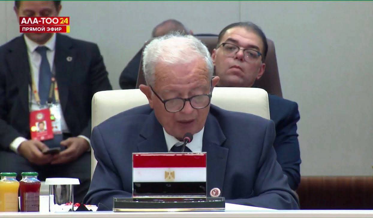 مصر في قمة شنغهاي: التعاون الدولي مفتاح مواجهة أزمات العالم