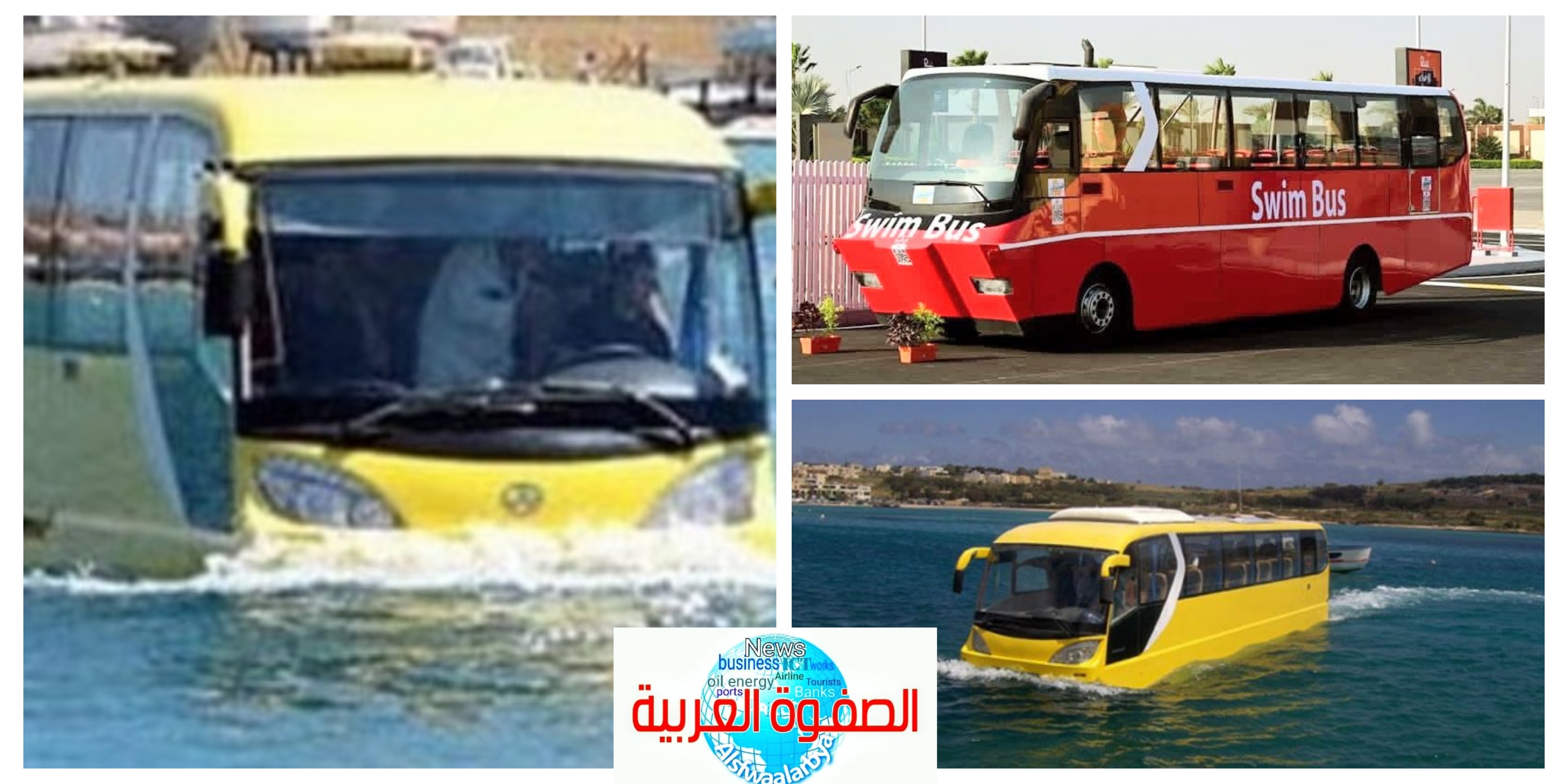 الأتوبيس البرمائي.. تجربة سياحية فريدة لأول مرة بمصر