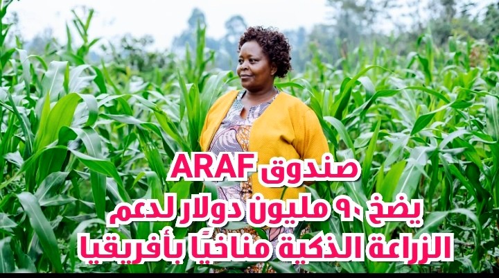 صندوق ARAF يضخ 90 مليون دولار لدعم الزراعة الذكية بأفريقيا