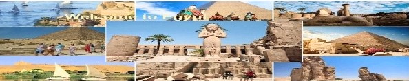 اعلانات الصفوة العربية